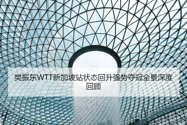 樊振东WTT新加坡站状态回升强势夺冠全景深度回顾