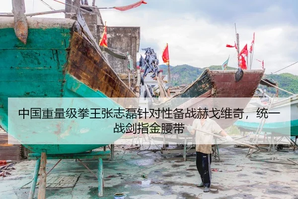 中国重量级拳王张志磊针对性备战赫戈维奇，统一战剑指金腰带
