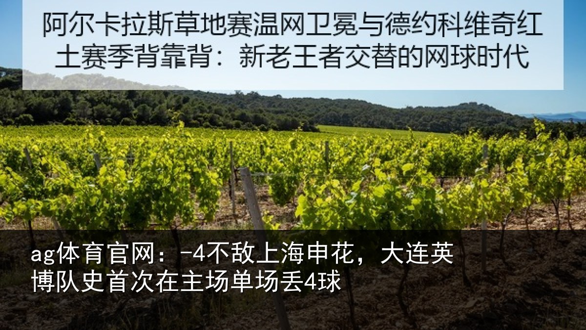 ag体育官网：-4不敌上海申花，大连英博队史首次在主场单场丢4球