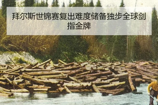 bai-er-si-shi-jin-sai-fu-chu-nan-du-chu-bei-du-bu-quan-qiu-jian-zhi-jin-pai-3-130.jpg