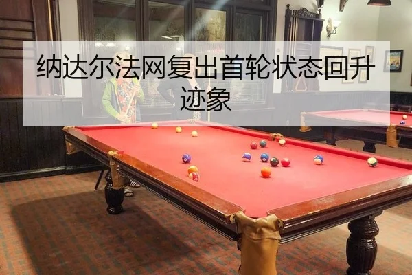 na-da-er-fa-wang-fu-chu-shou-lun-zhuang-tai-hui-sheng-ji-xiang-2-332.jpg