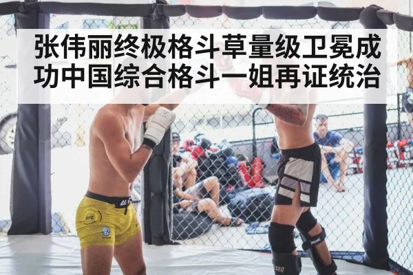 MMA fight cage