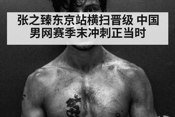 张之臻东京站横扫晋级 中国男网赛季末冲刺正当时
